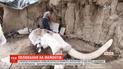 В Мексике антропологи нашли ловушки на доисторических животных, которым больше 15 тысяч лет