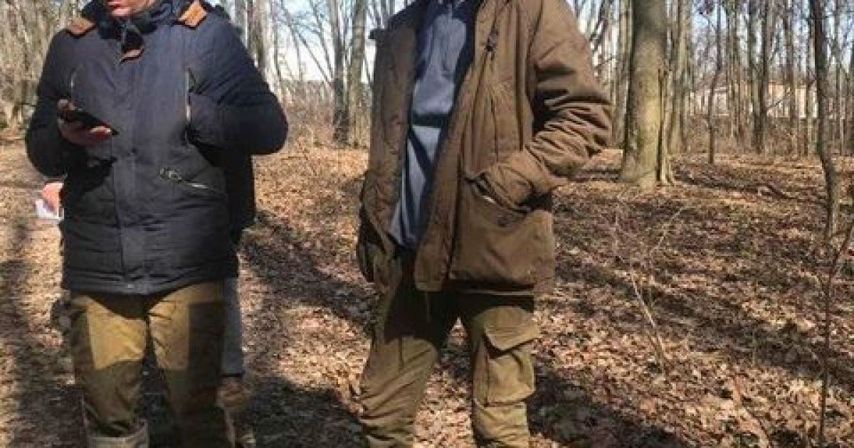 У Голосіївському парку Києва зрізали біля двох десятків вікових дубів
