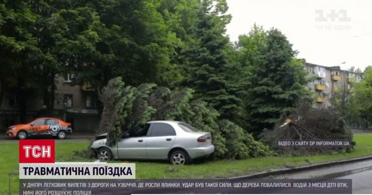 "Ланос" против елок: в Днепре пьяный водитель врезался в деревья и скрылся с места ДТП