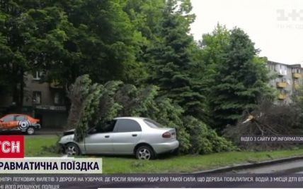 "Ланос" против елок: в Днепре пьяный водитель врезался в деревья и скрылся с места ДТП