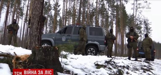 Битва за ліс: на Житомирщині спецназ зі стріляниною затримав на гарячому чорних лісорубів