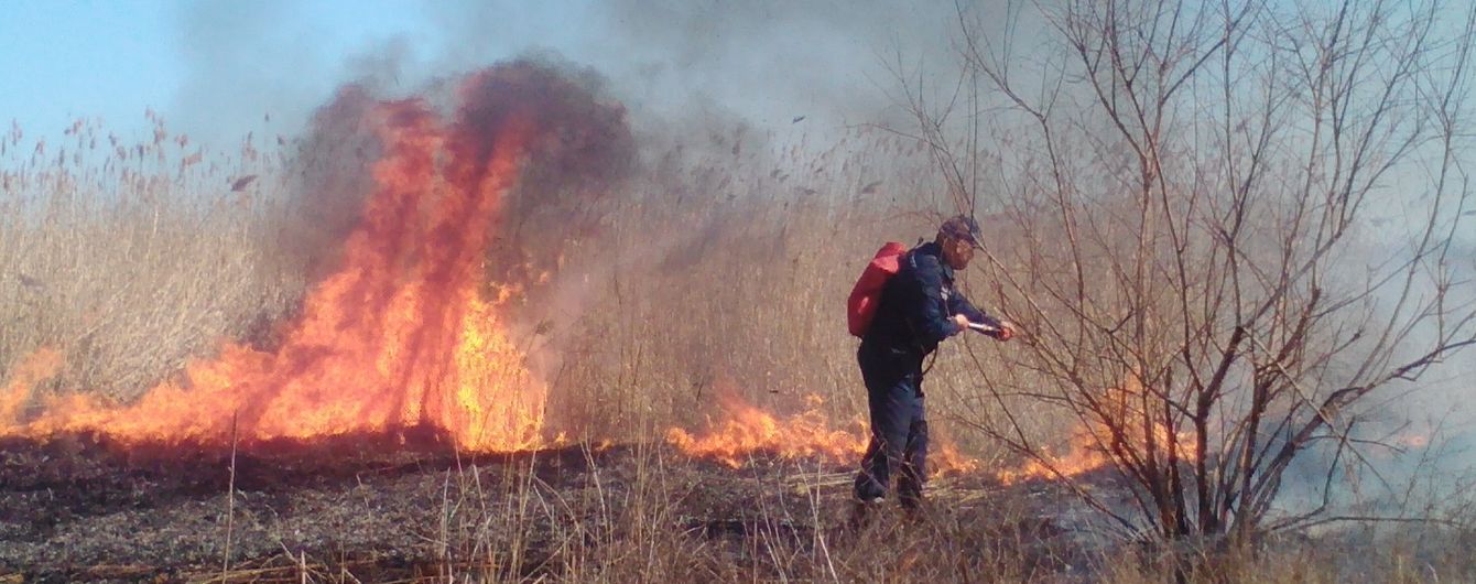 На Миколаївщині палає очерет, місцеві підозрюють у підпалі рибалок-браконьєрів