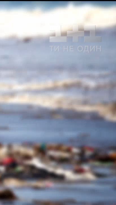 Чи реально жити без поліетилену - експеримент "Сніданку"