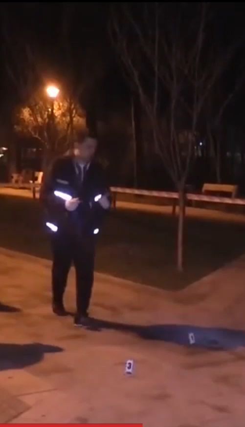 У столиці в парку Кіото чоловік під час бійки кинув у людей гранату