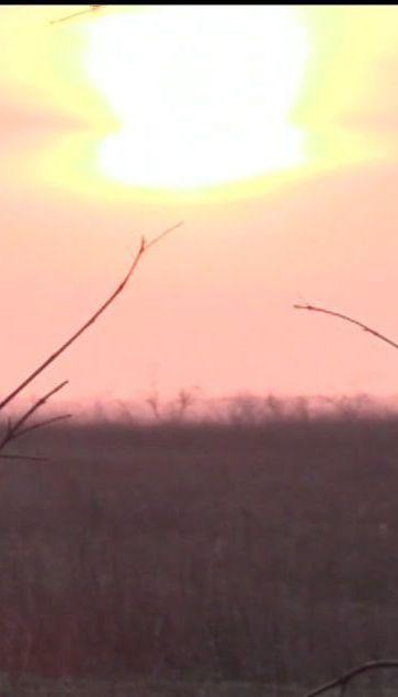 Бойовики нарощують інтенсивність обстрілів на сході України