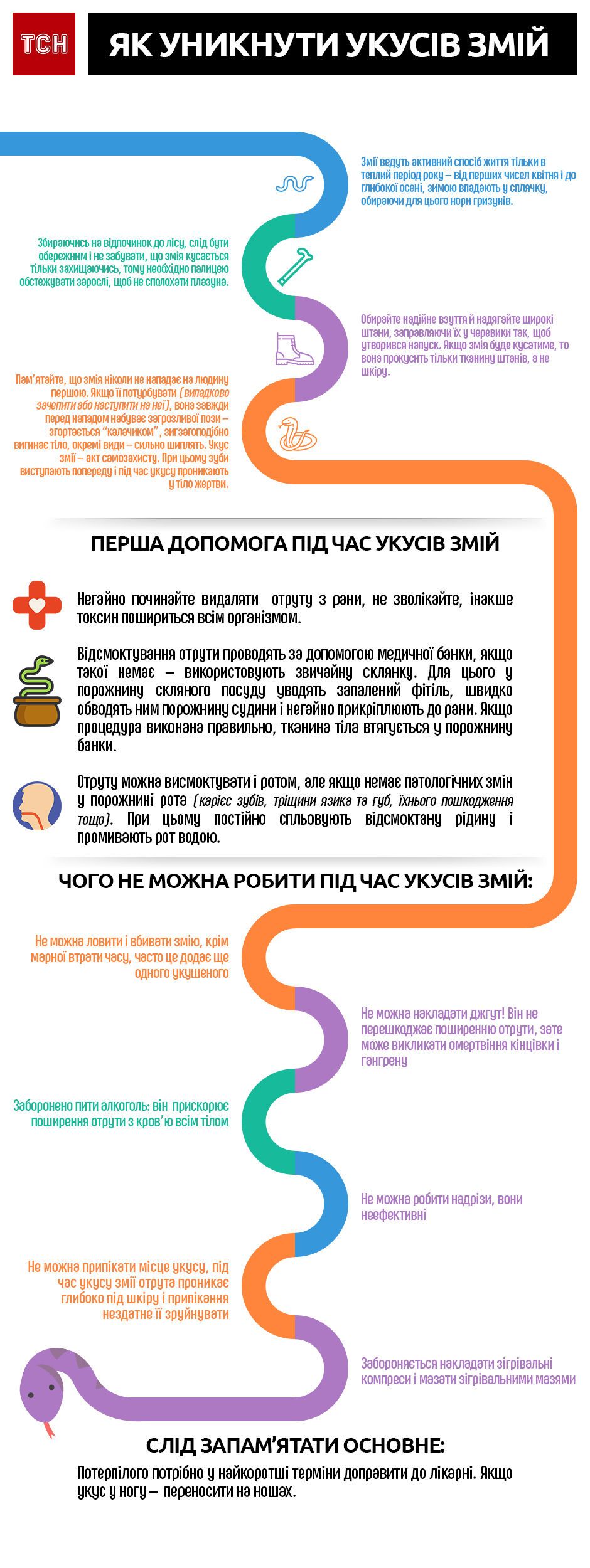 як уникнути укусів змій, інфографіка