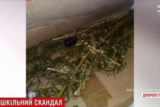 Діти знайшли в спортзалі школи на Дніпропетровщині сховок коноплі, котру педагоги негайно спалили