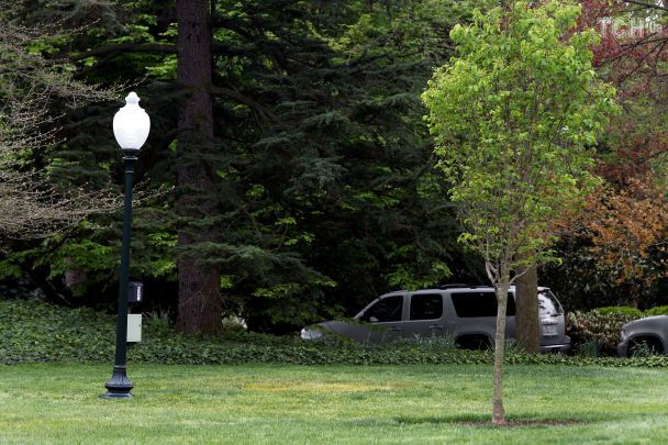 З галявини Білого дому зник дуб, посаджений Макроном і Трампом