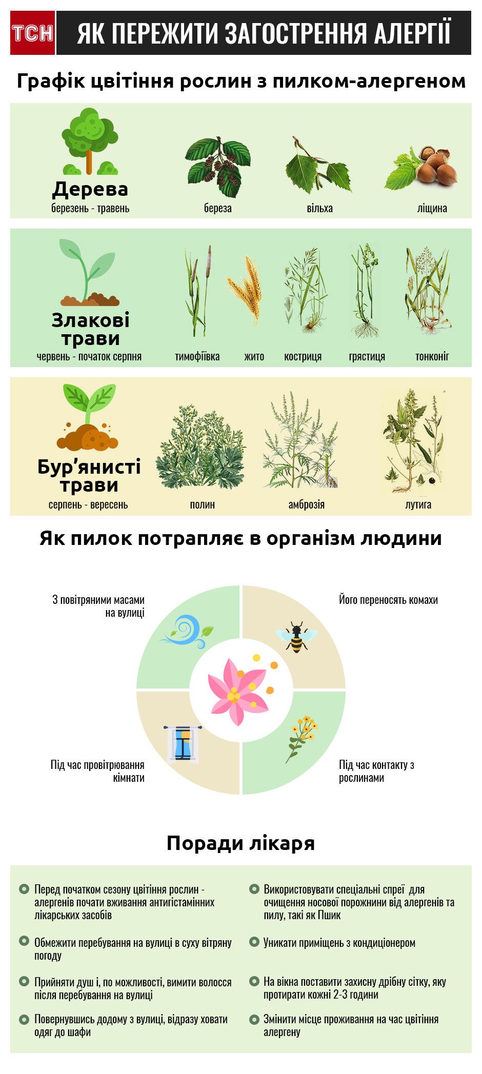 Як врятуватися від алергії на літні рослини? Як врятуватися від алергії на літні рослини?