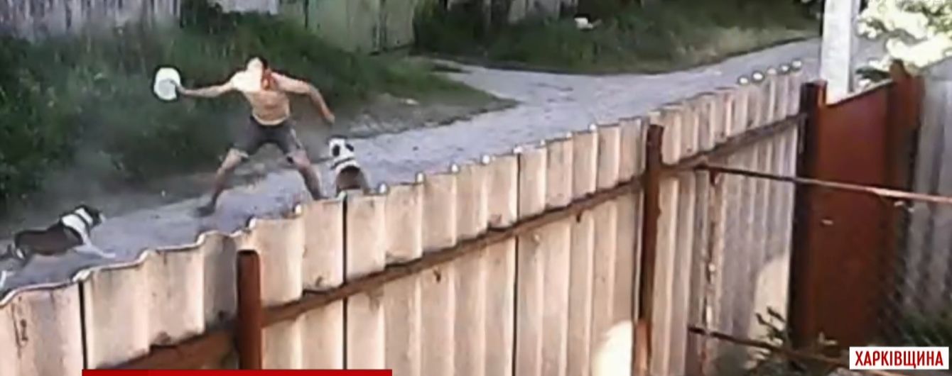 На Харківщині кілька пітбулів пошматували випадкового перехожого на вулиці