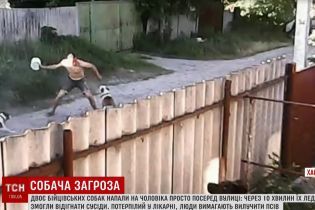 На Харківщині кілька пітбулів пошматували випадкового перехожого на вулиці