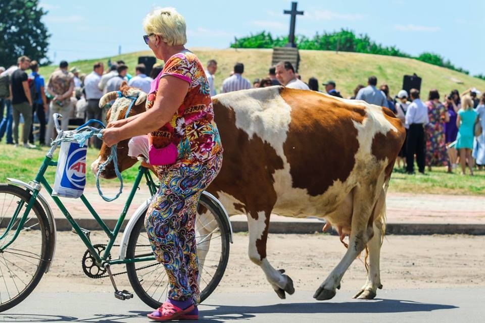 решетил