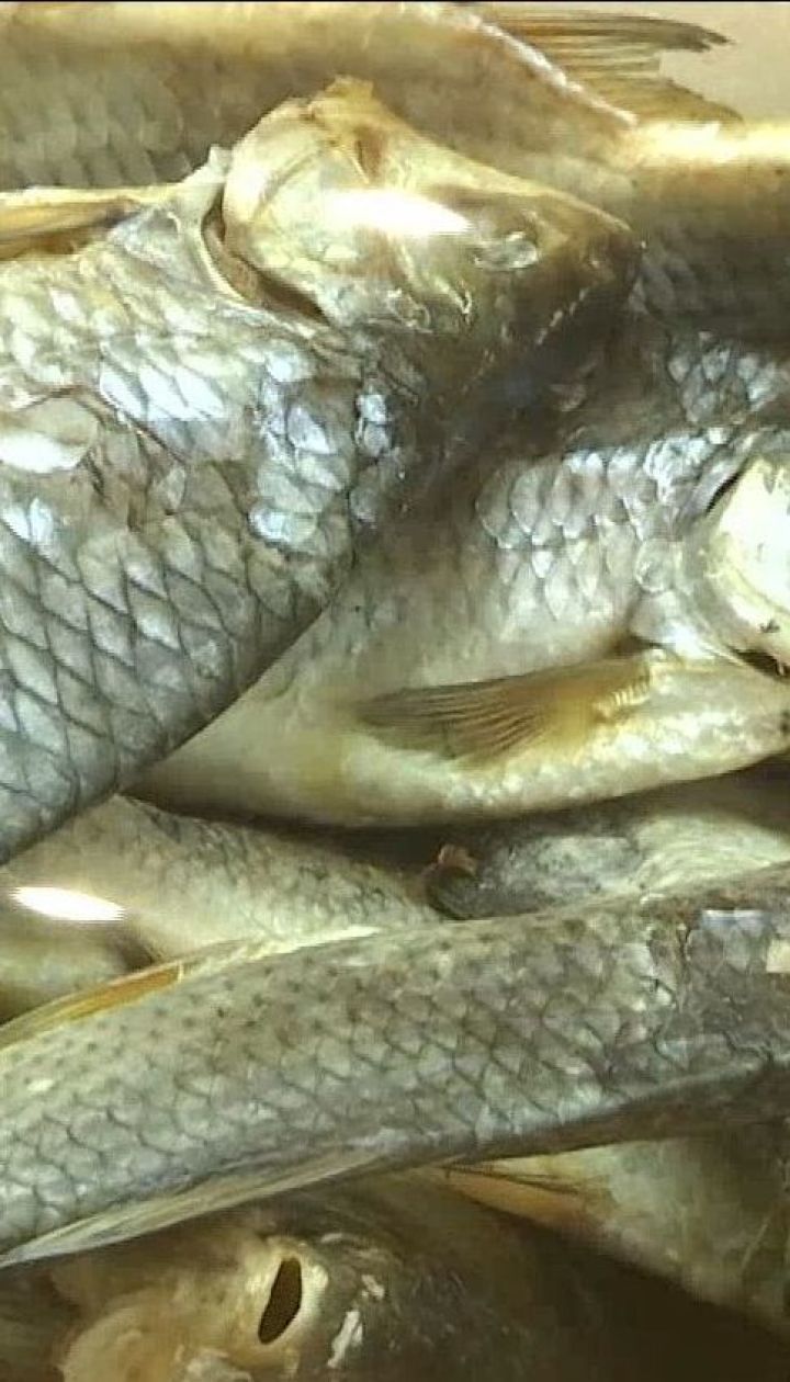 У яких продуктах ховаються збудники інфекційних хвороб