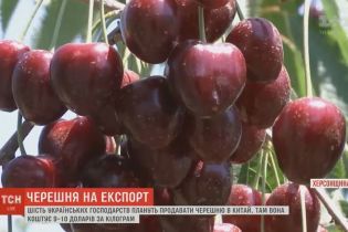 На китайському ринку готові викладати за українську черешню 9-10 доларів за кілограм