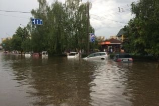 Вырванные елки и парализованное движение транспорта: в Луцке бушует непогода