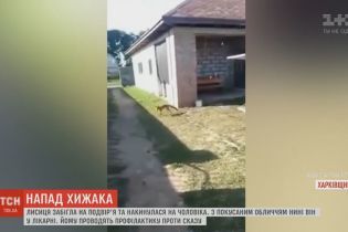 На Харківщині лисиця атакувала чоловіка на його ж подвір'ї