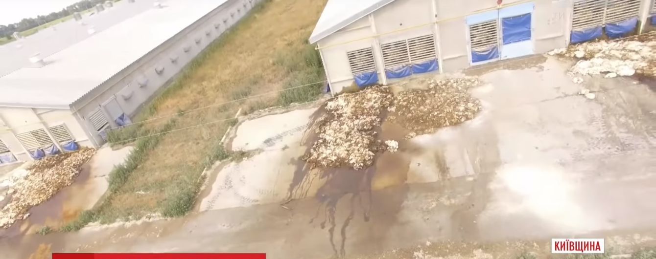 Слідами скандальної курятини: у Гаврилівці та Димері люди продовжують скаржитися на нестерпний сморід