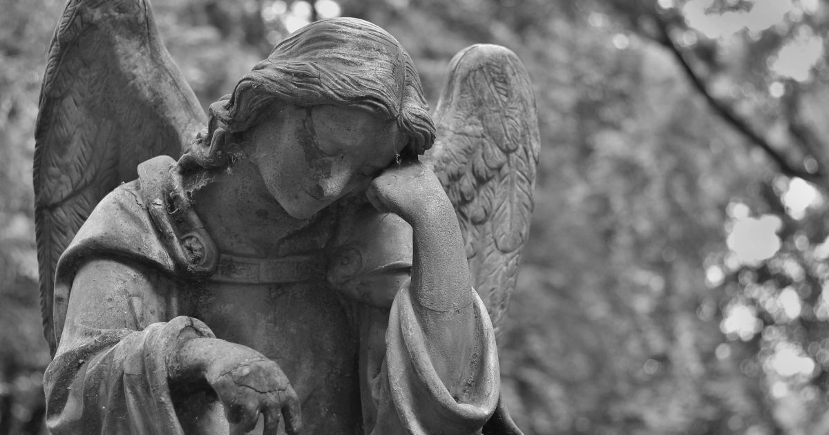 У Тернопільській області дерево вбило 35-річного лісоруба: подробиці