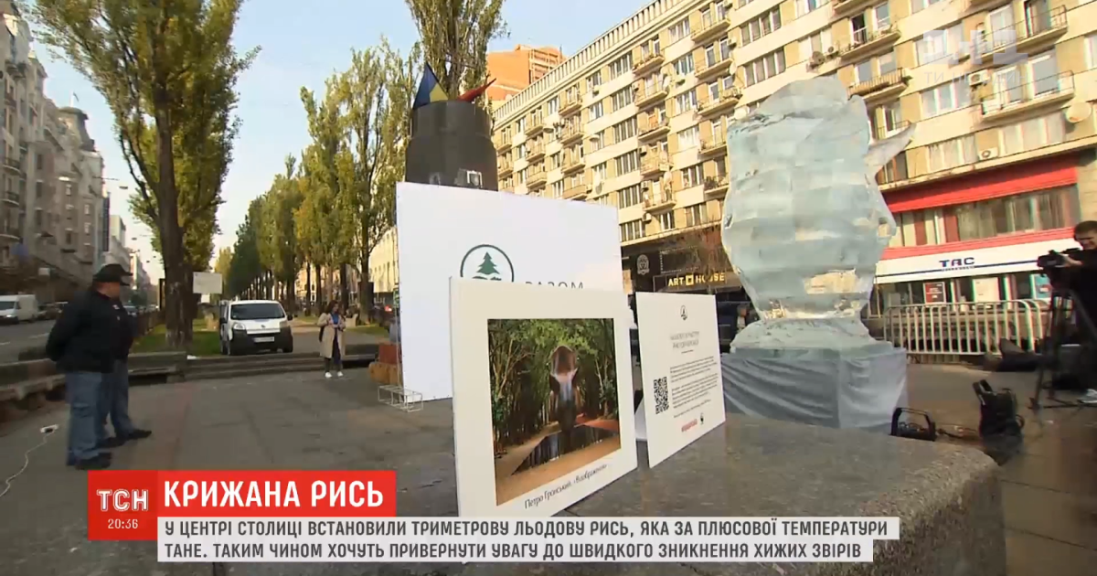 В Киеве установили ледовую скульптуру рыси