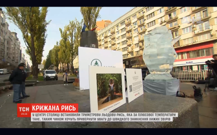 В Киеве установили ледовую скульптуру рыси