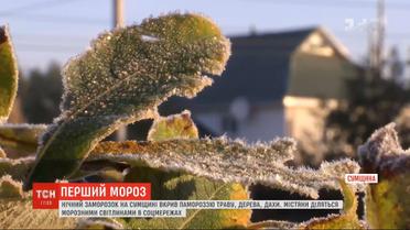 В Сумах ночью зафиксировали первую минусовую температуру