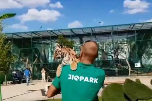 Одеситів обурила експлуатація маленького тигреняти для фото з туристами