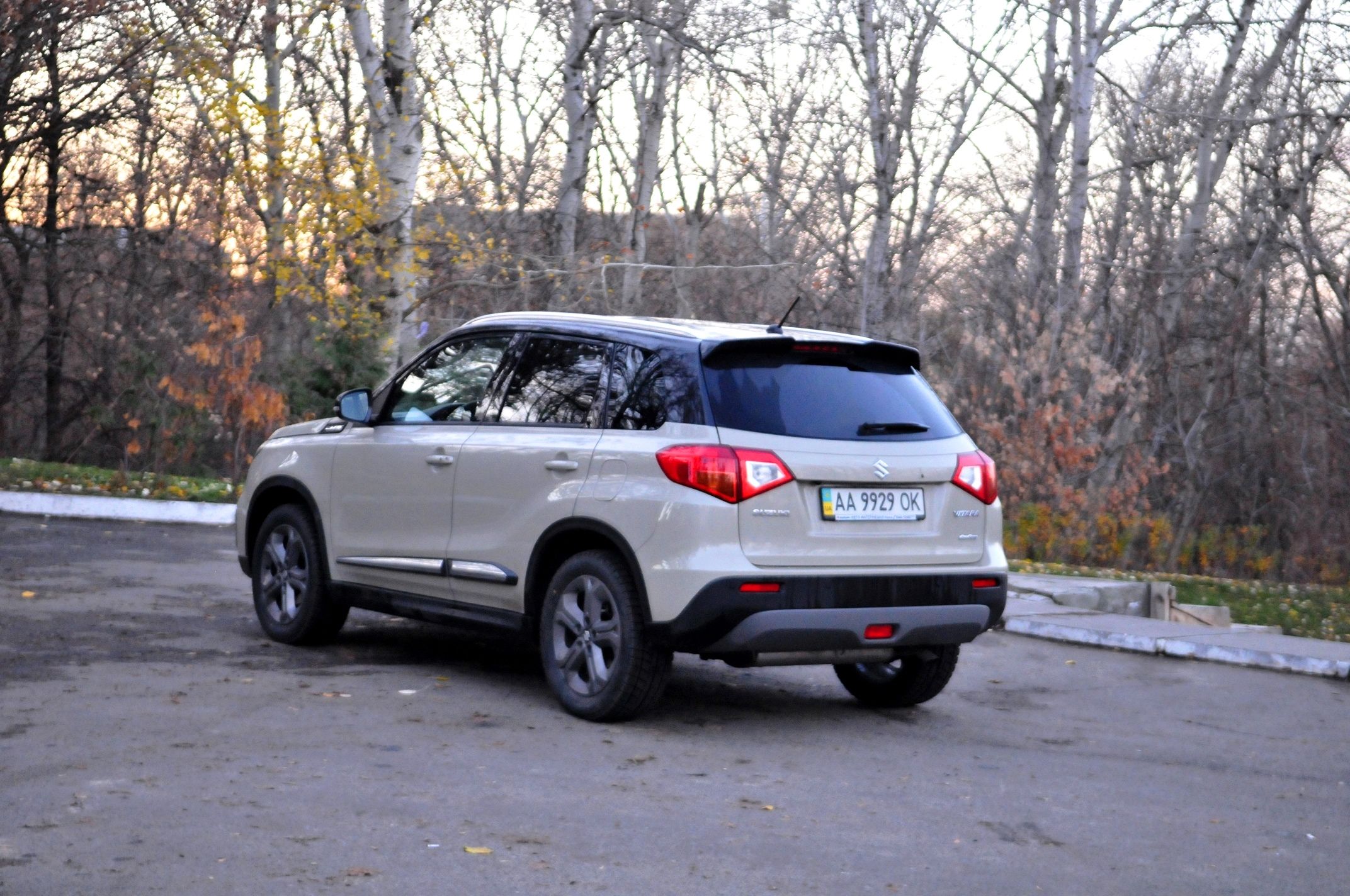 Suzuki Vitara _9