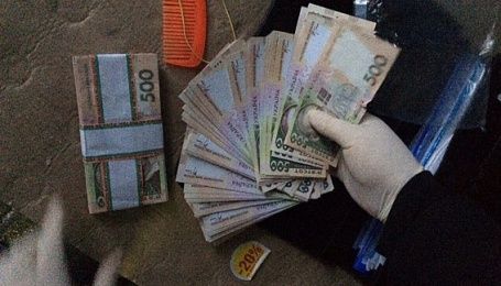 На Волыни на взятке за земельные махинации схватили сельского голову