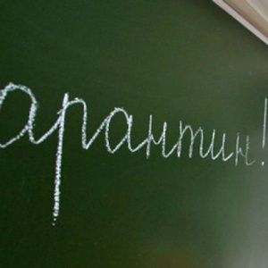 В трех районах Ровенщины детей отправили на карантин из-за вспышки гриппа