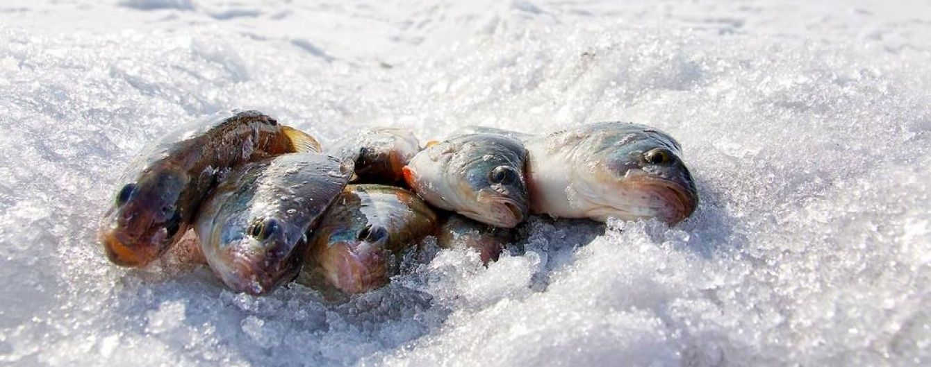 В Україні "шпигуватимуть" за рибалками на водоймах