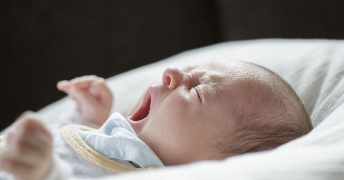 2-летняя девочка, которую жестоко избила мать-либо, умерла в реанимации Дзержинска