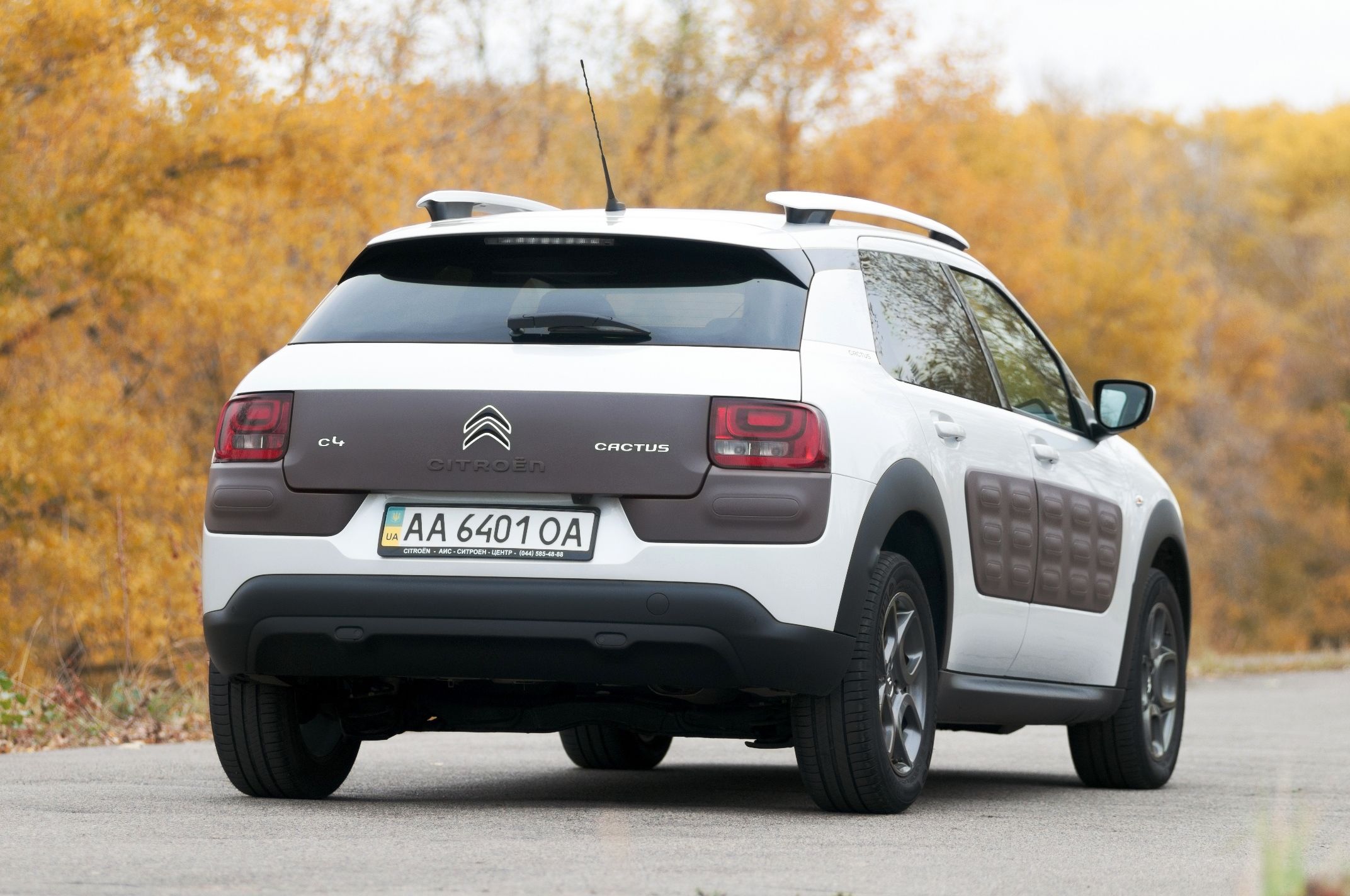 Citroen C4 Cactus_10