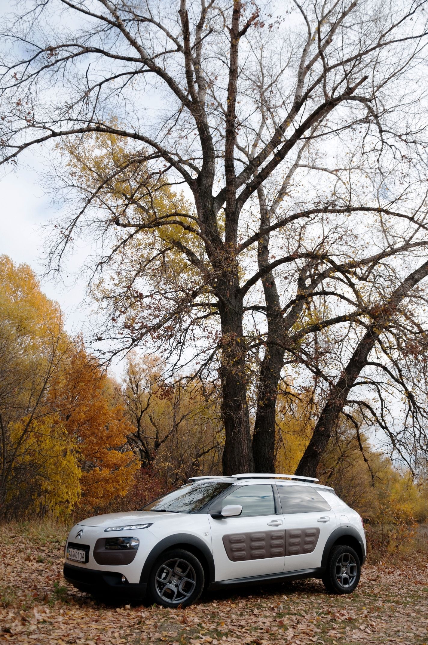 Citroen C4 Cactus_5