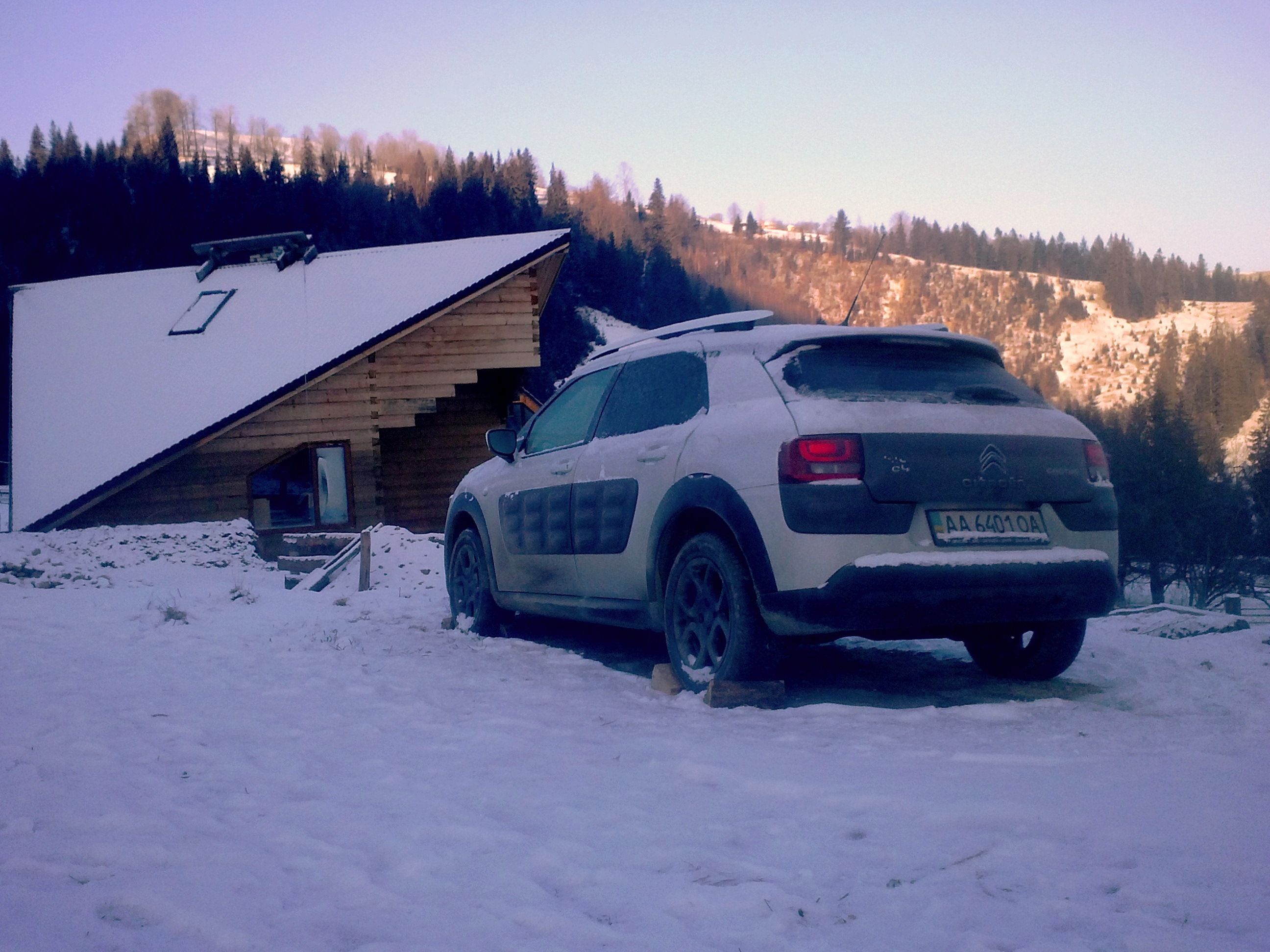 Citroen C4 Cactus_3