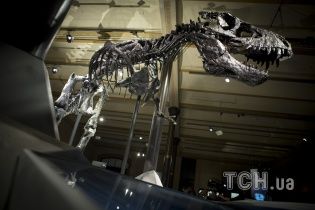 Динозаври повернуться у 2050 році - вчені