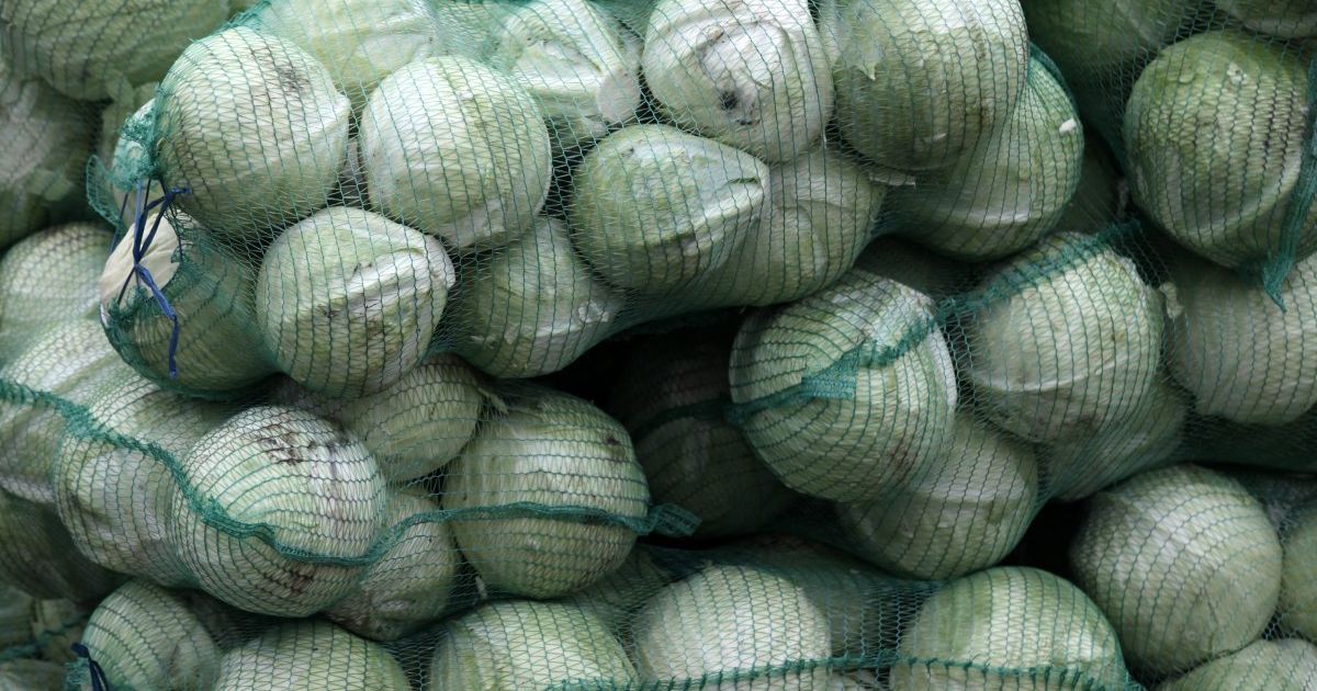 В Україні ціни на білокачанну капусту пішли вгору: скільки коштує овоч з борщового набору