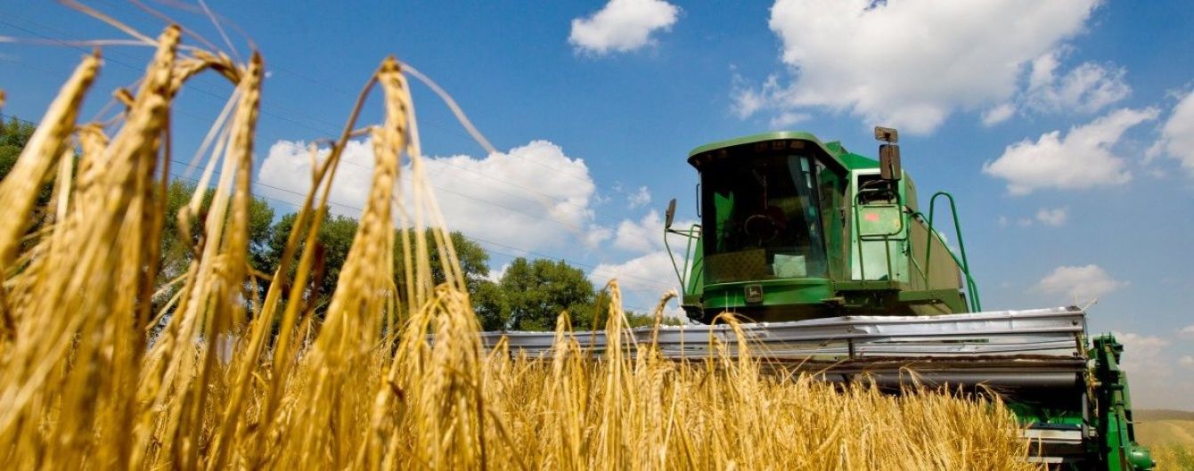 Аномальне тепло в Україні: як вплине відсутність опадів на цьогорічний врожай