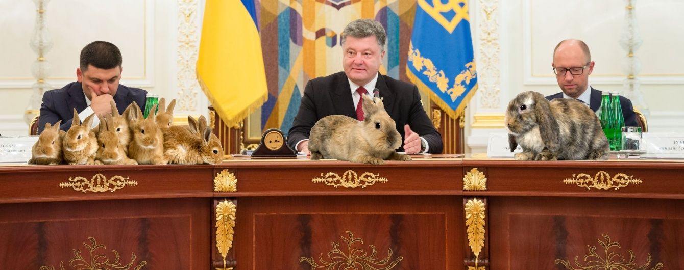 Як влада прем'єра обирає. Пояснюємо на кроликах