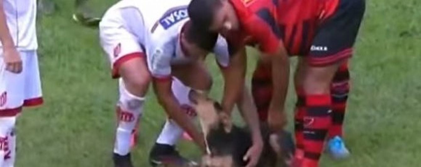 В Бразилии во время футбола пес выбежал на поле и начал забавляться с игроками