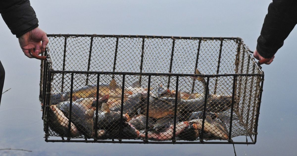 В Україні заборонили ловити рибу та нагадали про штрафи