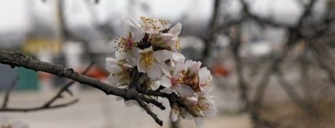 До України насувається похолодання з дощами та снігом