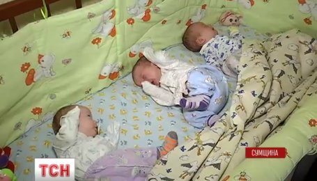 Поделки из дерева своими руками для начинающих