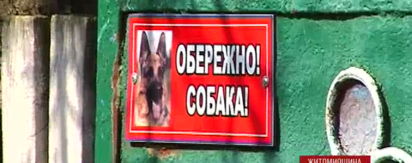На Житомирщині оскаженілий пес на смерть загриз 1,5-річну дівчинку