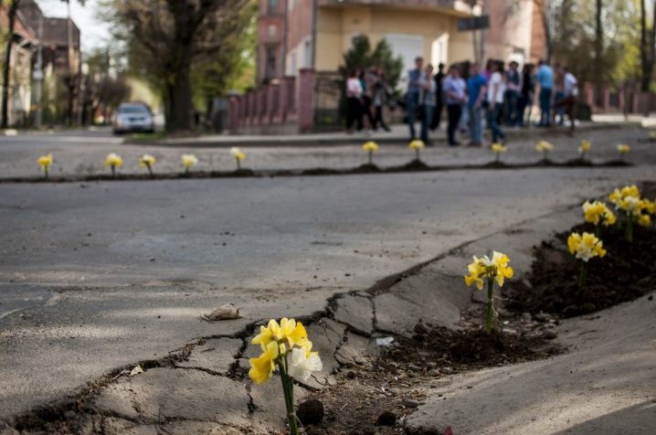У Чернівцях висадили клумби в ямах на дорозі