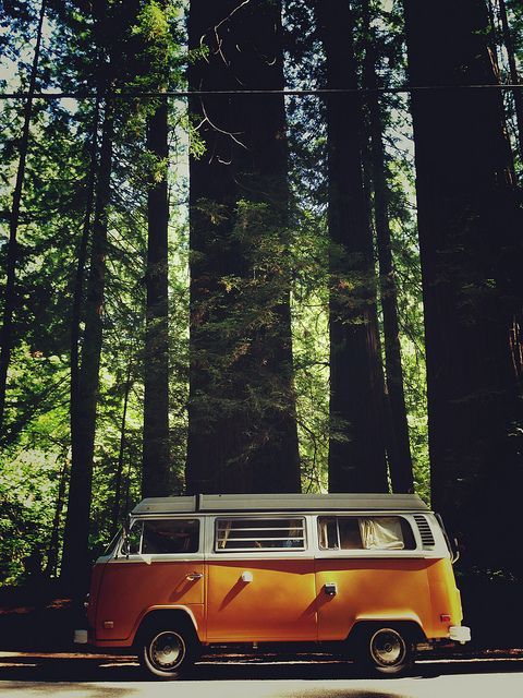 VW Camper_11