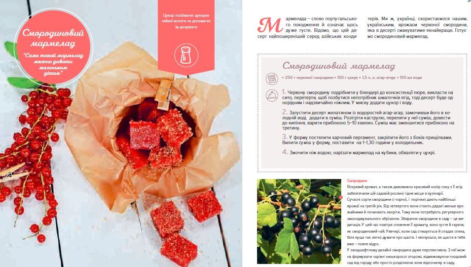 Презентація книги Сенічкін та Підлісної_12