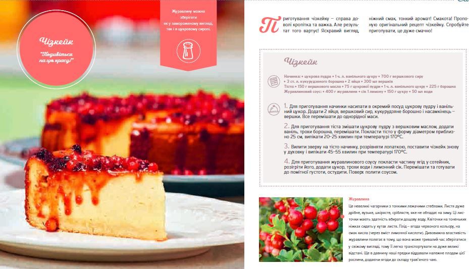 Презентація книги Сенічкін та Підлісної_11