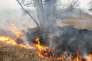 Россию охватил огонь: в Приамурье горят леса и села