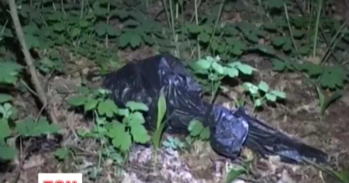 Наджорстокий злочин у Києві: поліція підозрює росіянина у вбивстві львів'янки