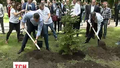 Возле Верховной Рады появилась "Аллея Израиля"